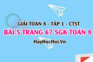 Giải bài 5 trang 67 Toán 8 Tập 1 SGK Chân trời sáng tạo